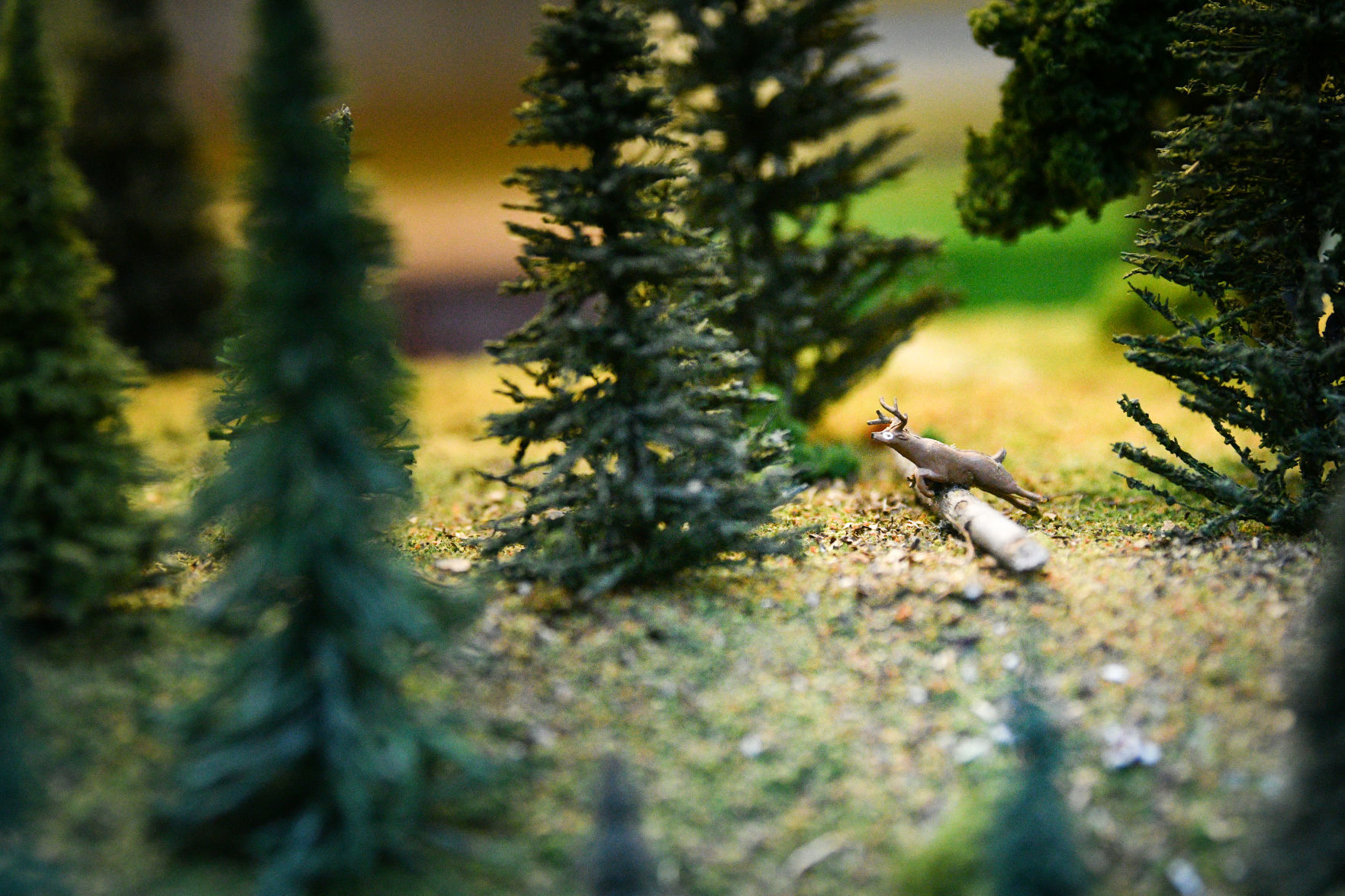 110919-mda-nws-modeltrains-031a.JPG